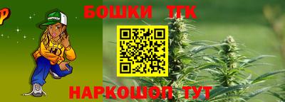 спиды Гай