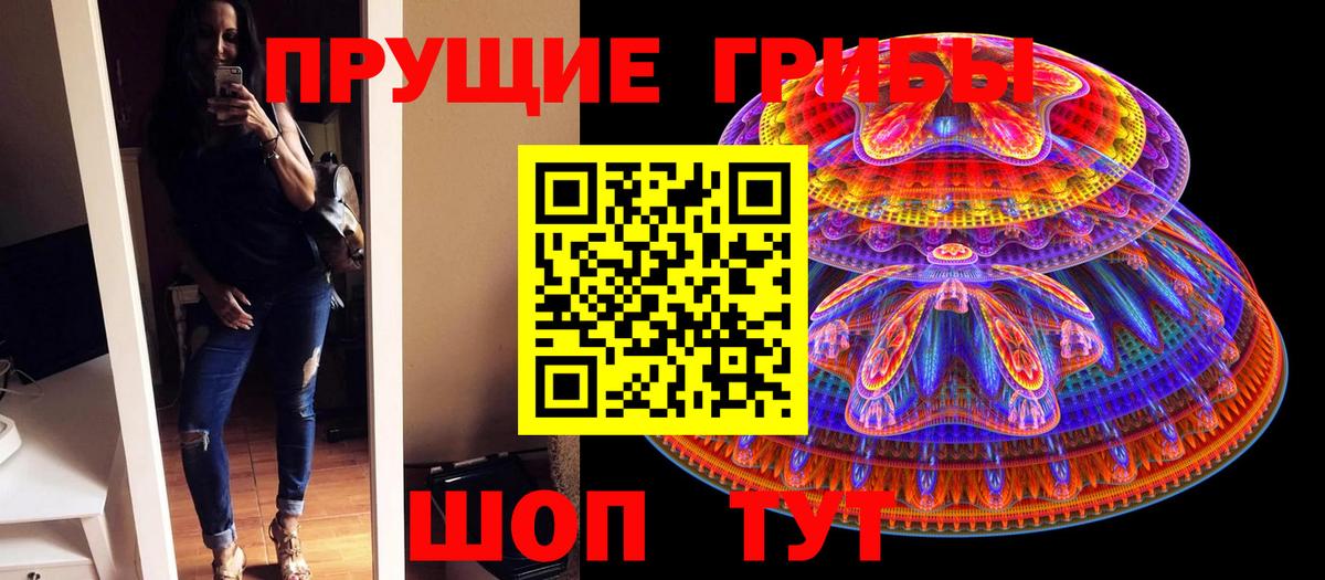 Пугачёв  Псилоцибиновые грибы Magic Shrooms  Вход с VPN 