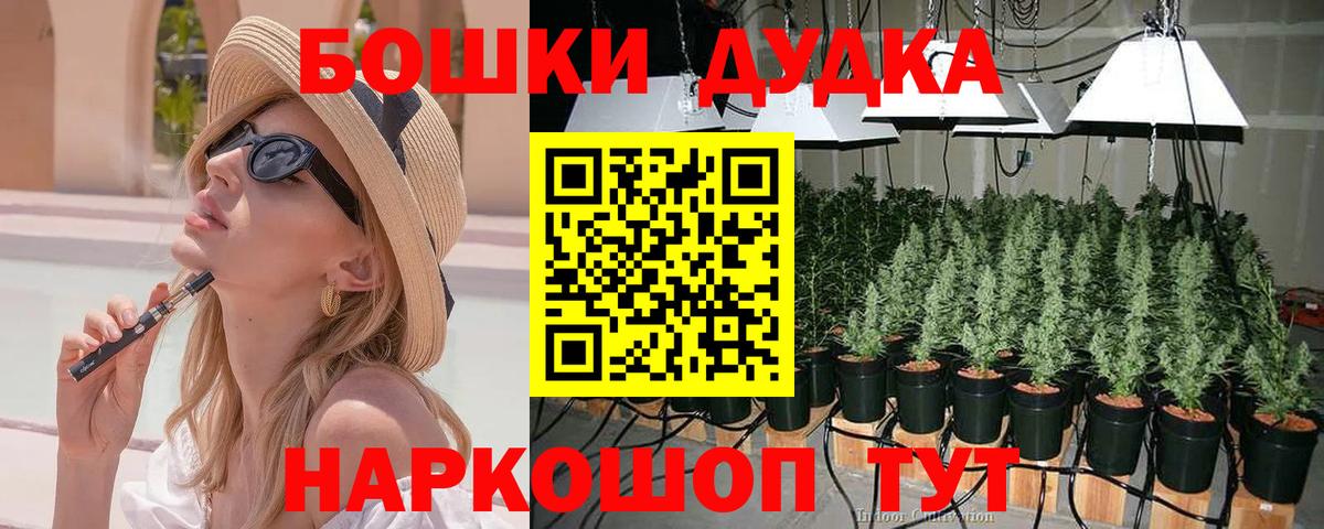Бошки Шишки марихуана  МАРИХУАНА ГИДРОПОН  Вход с VPN  Конопля AK-47  Пугачёв 
